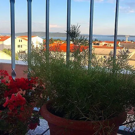 Guest house Mamut