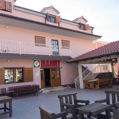 Mamut Guest house *