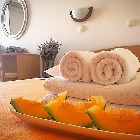 Mamut Guest house *